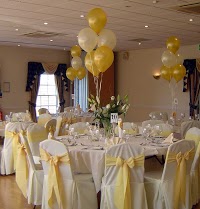 CHAIR COVERS UK 1095619 Image 4